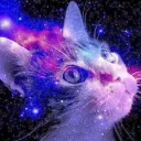 Аватар kote_v_narkote