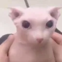 xnan