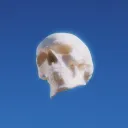 iiisavior