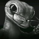 avatar wojtusspokogosc