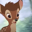 fliwxy