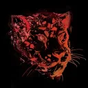 jaguar_bs