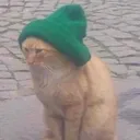 putrido