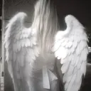 .imys