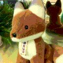 nerv