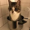 Аватар kizaranu