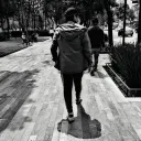 linces_gps