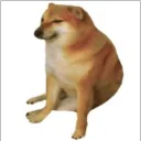 yosefj