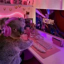 koalatybud
