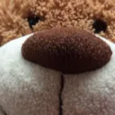 gopropolice2