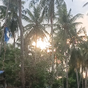 avatar Calidumpulmentum