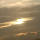 avatar Caliduspulmenti