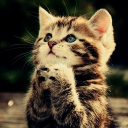 avatar джрам ен бейс