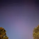 drvgoneye