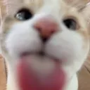 b3ep_boop