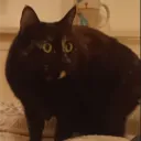 lurxeh