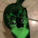 sugar_cookie_1046 avatar