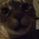 m0os