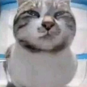 avatar I like hot chocolate