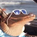 florida03