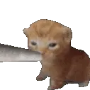 pajtonq