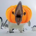 nbgr
