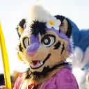 tarotyger