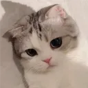 sugar_0514