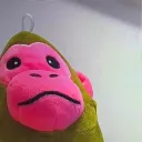 t0r1eruのアバター