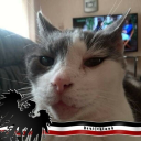 avatar Kirschen_Torsten