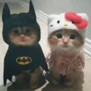 spideyo