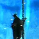 korekurai.
