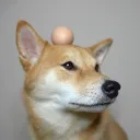 1k99 avatar