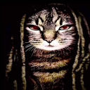 avatar Dinofer