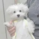 alonely0