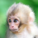 krakenova.#4541's avatar