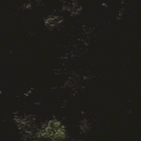 avatar Чaрівний Ма̷гістр 𝘗𝘪𝘧𝘧𝘺