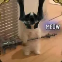 Lmaos's Avatar