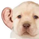 franco34234 avatar