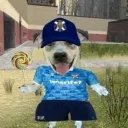 jebarbusto