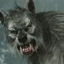 scarywolfies