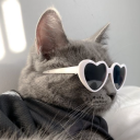 shean5i77#2165's avatar