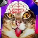 avatar noodlez4dindin