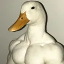 lv623f
