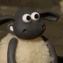 _hm___