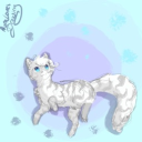 avatar auraplayscozygames