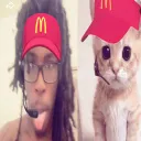 taneelkins