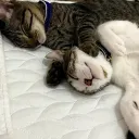 tici_and