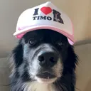 real_tiggy
