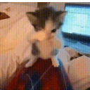 avatar Shnapy